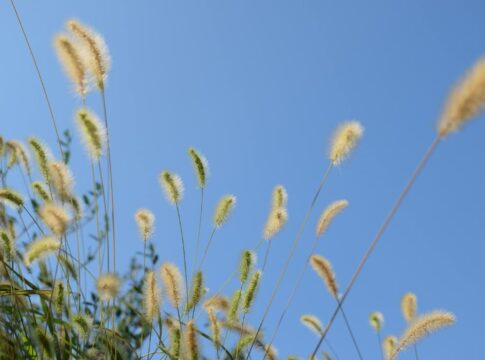 Καιρός: Ενισχύονται οι άνεμοι στην Κρήτη – Ανεβαίνει η θερμοκρασία