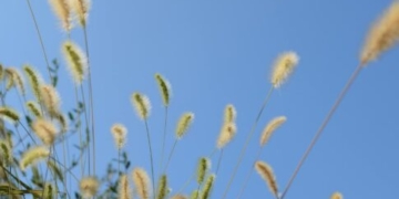 Καλοκαιρινό Σάββατο στην Κρήτη – Έως 32 βαθμούς ο υδράργυρος