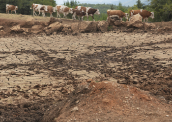 Κλιματική αλλαγή: Ξηρασία και ακραία λειψυδρία την επόμενη δεκαετία