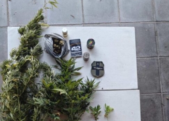 Κρήτη: Συνελήφθη 59χρονος για τα χασισόδεντρα που είχε σπίτι του