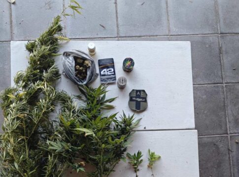 Κρήτη: Συνελήφθη 59χρονος για τα χασισόδεντρα που είχε σπίτι του