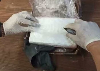 Κύκλωμα κοκαΐνης: Στη φυλακή ο 42χρονος Ζωνιανός