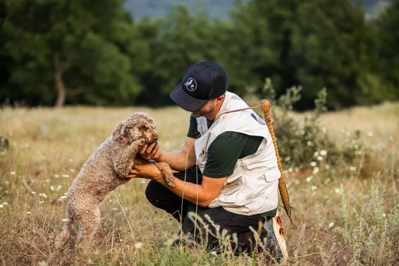 κηνυγι τρούφας