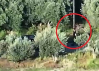 Μαφία της Κρήτης: Στη δεύτερη δικογραφία περιλαμβάνονται σοβαρότερα αδικήματα – Έρχονται και άλλες συλλήψεις