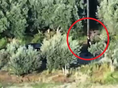 Μαφία της Κρήτης: Στη δεύτερη δικογραφία περιλαμβάνονται σοβαρότερα αδικήματα – Έρχονται και άλλες συλλήψεις