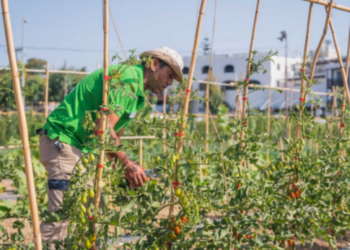 Metaxa Hospitality Group: Ο πρώτος Όμιλος φιλοξενίας στην Ελλάδα με πιστοποιημένες βιολογικές-αναγεννητικές γαίες από τη Δ.Η.Ω.