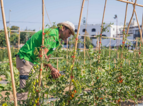 Metaxa Hospitality Group: Ο πρώτος Όμιλος φιλοξενίας στην Ελλάδα με πιστοποιημένες βιολογικές-αναγεννητικές γαίες από τη Δ.Η.Ω.