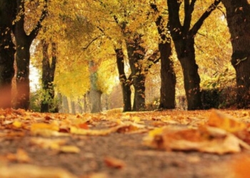 Μικρή «γεύση» από φθινόπωρο στην Κρήτη – Πότε θα πέσει η θερμοκρασία, αγνοούνται οι βροχές (βίντεο)