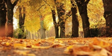 Μικρή «γεύση» από φθινόπωρο στην Κρήτη – Πότε θα πέσει η θερμοκρασία, αγνοούνται οι βροχές (βίντεο)