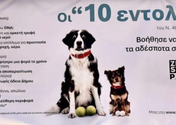 Νέα τριήμερη δράση δωρεάν στειρώσεων ζώων συντροφιάς στο Δήμο Μαλεβιζίου