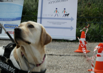 Οδηγός ταξί αρνήθηκε να μεταφέρει τυφλή παραολυμπιονίκη με τον σκύλο συνοδό της