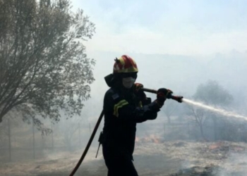 Oριοθετημένη η φωτιά στη Νύβριτο – Κατέστρεψε καλλιέργειες