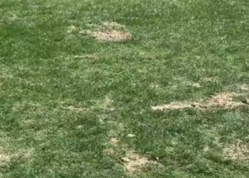 Παγκρήτιο: Το “συγγνώμη” της εταιρείας στους φίλους του ΟΦΗ – στην Τρίπολη το ματς με τον Άρη