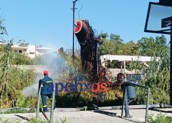 Πάτρα: Ακινητοποιήθηκε αμαξοστοιχία λόγω πυρκαγιάς - Η ανακοίνωση της Hellenic Train