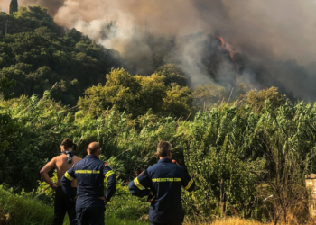 Πυροσβεστική: 38 πυρκαγιές σε αγροτικές και δασικές περιοχές το τελευταίο 24ωρο