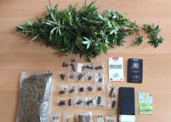 Ρέθυμνο: Οι γλάστρες είχαν… δενδρύλλια κάνναβης – Χειροπέδες σε 52χρονο