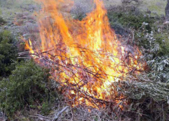 Ρέθυμνο: Πρόστιμο σε αγρότη – Άναψε φωτιά για να κάψει κλαδιά και χόρτα