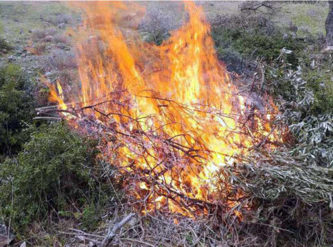 Ρέθυμνο: Πρόστιμο σε αγρότη – Άναψε φωτιά για να κάψει κλαδιά και χόρτα