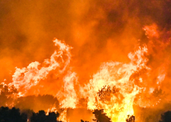 Reuters - Δίκτυο ηλεκτρικής ενέργειας: Πώς τροφοδοτεί τις πυρκαγιές 