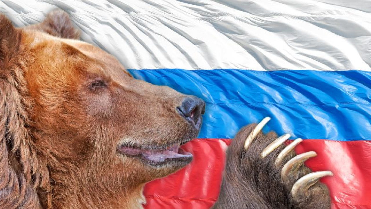 Ρωσία προς Τραμπ: Είμαστε μια πραγματική αρκούδα, όχι μια χάρτινη τίγρη