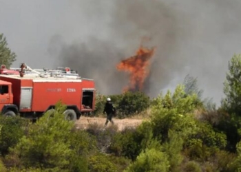 Σε ύφεση τα πύρινα μέτωπα σε Ρέθυμνο και Σητεία – Σε επιφυλακή η Πυροσβεστική λόγω των ισχυρών ανέμων