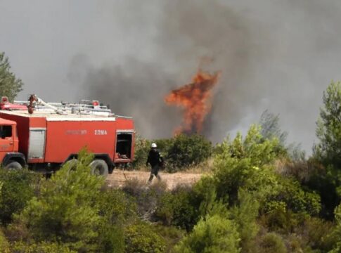 Σε ύφεση τα πύρινα μέτωπα σε Ρέθυμνο και Σητεία – Σε επιφυλακή η Πυροσβεστική λόγω των ισχυρών ανέμων