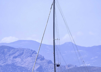 Seal Greece: 1.000 μίλια για να σωθούν οι 1.000 τελευταίες μεσογειακές φώκιες