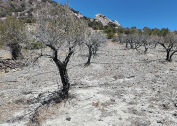 Συναγερμός για τη λειψυδρία στην Νοτιοανατολική Κρήτη