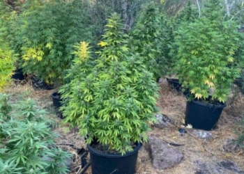 Συνελήφθη 45χρονος στο Ρέθυμνο για ναρκωτικά