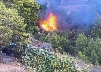 Συνελήφθη άνδρας ως υπαίτιος της πυρκαγιάς στο δάσος του Υμηττού