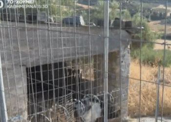Τα χρήματα που πήρε η 62χρονη για λογαριασμό της νεκρής μητέρας της
