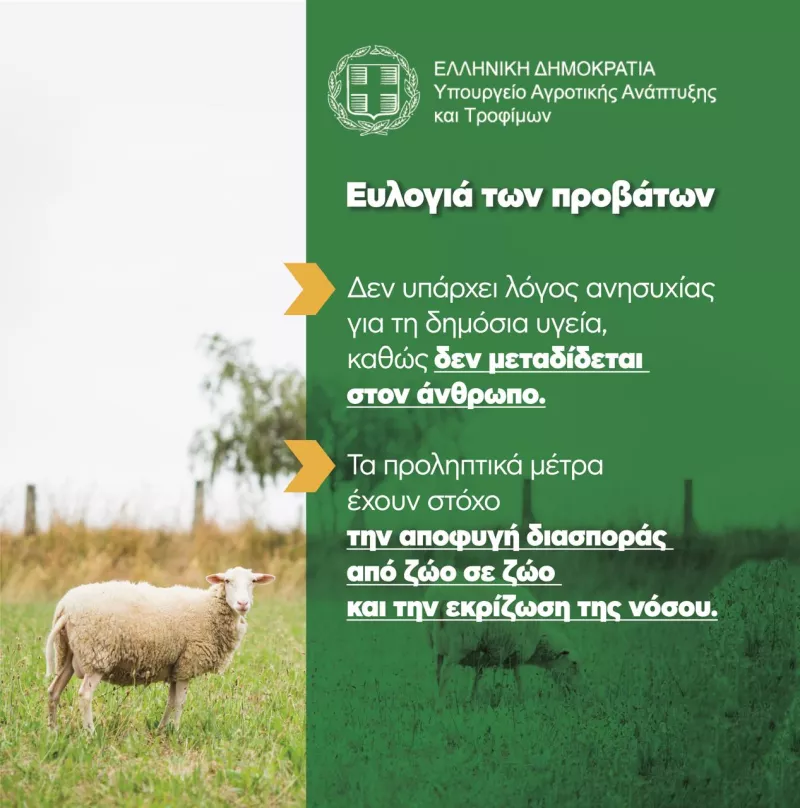Ευλογιά των Αιγοπροβάτων
