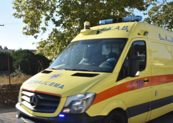 Θεσσαλονίκη: Άνδρας έπεσε αναίσθητος από τσίμπημα εντόμου - Σώθηκε από το ΕΚΑΒ