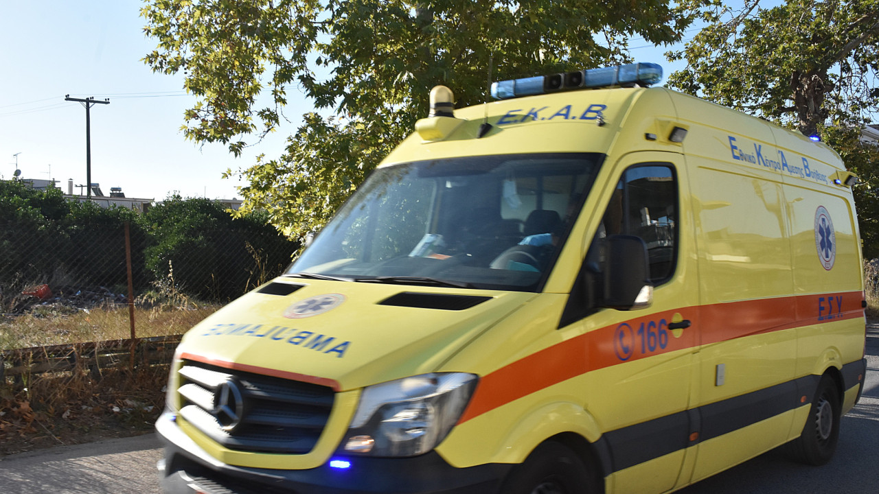 Θεσσαλονίκη: Άνδρας έπεσε αναίσθητος από τσίμπημα εντόμου - Σώθηκε από το ΕΚΑΒ