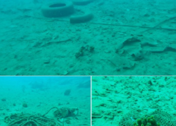 Θεσσαλονίκη: Απομάκρυναν μεταλλικά απορρίμματα από τον βυθό του Θερμαϊκού με τη χρήση μαγνητών