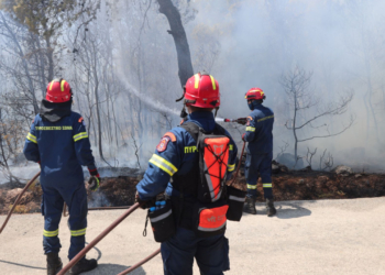 Θεσσαλονίκη: Πυρκαγιά σε δασική περιοχή του Χορτιάτη – Ενεργοποιήθηκε το 112