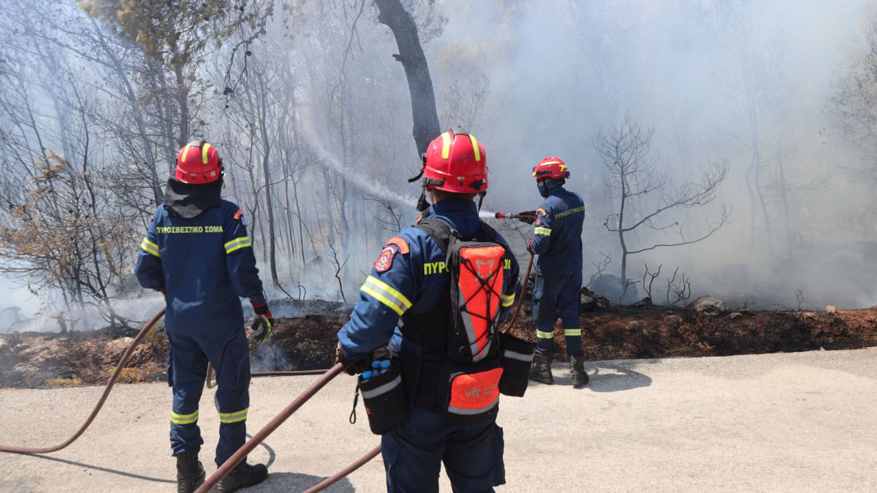 Θεσσαλονίκη: Πυρκαγιά σε δασική περιοχή του Χορτιάτη – Ενεργοποιήθηκε το 112