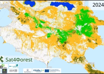 Θεσσαλονίκη: Την υγεία όλων των ελληνικών δασών χαρτογραφούν επιστήμονες στο ΑΠΘ