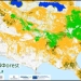 Θεσσαλονίκη: Την υγεία όλων των ελληνικών δασών χαρτογραφούν επιστήμονες στο ΑΠΘ
