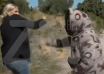 Βοιωτία: Βίντεο από τη στιγμή που η 62χρονη επιτίθεται σε δημοσιογράφο