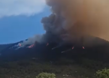 Υπό πλήρη έλεγχο η φωτιά σε δασική περιοχή στο Κουνούπι Αργολίδας