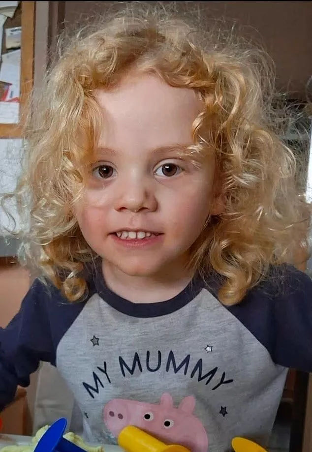 Αυστραλία: 4χρονο αγοράκι εξαφανίστηκε μυστηριωδώς - Τεράστια επιχείρηση για τον εντοπισμό του