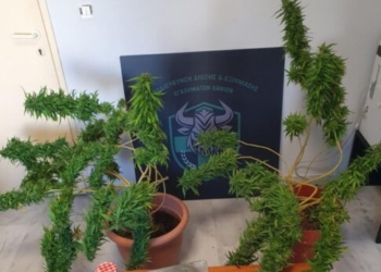 Άγριος καυγάς στα Χανιά με έναν τραυματία – Τρεις συλλήψεις, εντοπίστηκαν και ναρκωτικά