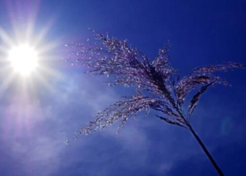 Αίθριος καιρός και σήμερα στην Κρήτη