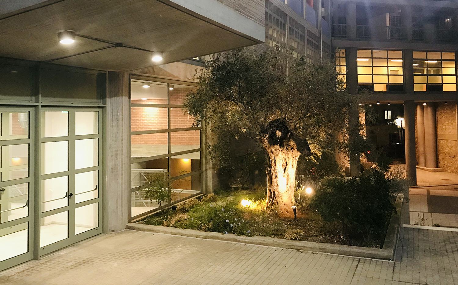 Ακροάσεις χορού για δυο νέες παραγωγές του ΠΣΚΗ