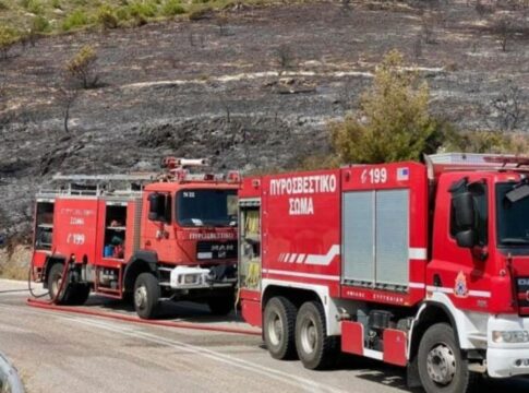 Άμεση η κινητοποίηση της Πυροσβεστικής για τη φωτιά στο Οροπέδιο Καθαρού