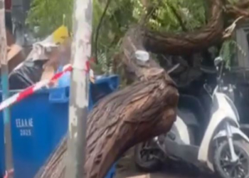 Αθήνα: Δέντρο έπεσε και τραυμάτισε άνδρα