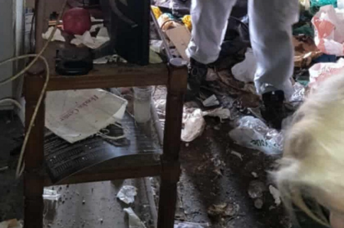 Χανιά: Αδιανόητες εικόνες από όγκους σκουπιδιών σε διαμέρισμα που καθάρισαν παρουσία εισαγγελέα