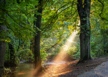 Εκδήλωση για την κλιματική αλλαγή στο Μουσείο Ελιάς και Ελληνικού Λαδιού στις 15 Οκτωβρίου