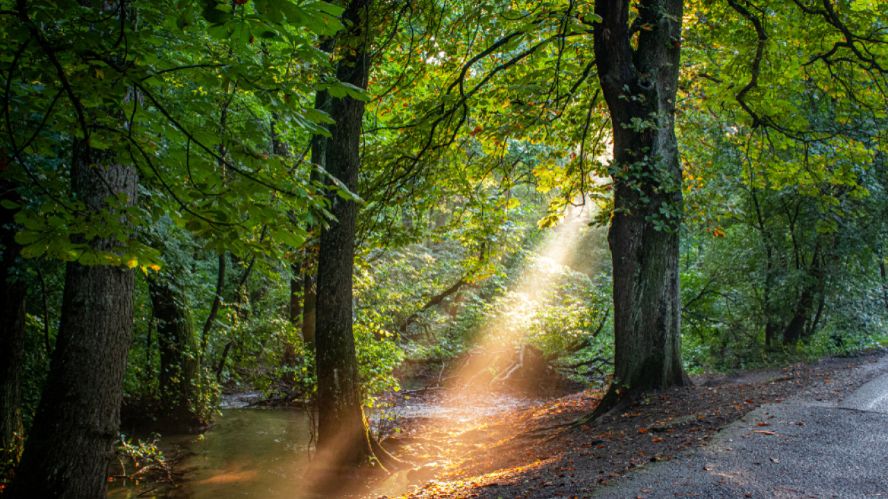 Εκδήλωση για την κλιματική αλλαγή στο Μουσείο Ελιάς και Ελληνικού Λαδιού στις 15 Οκτωβρίου